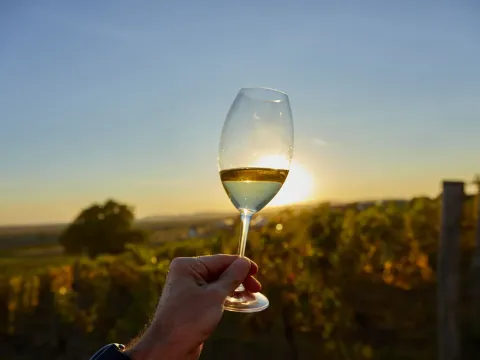 Seleção de vinhos da casa.
